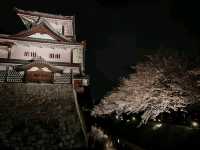 Sakura in Kanazawa - the hidden gem