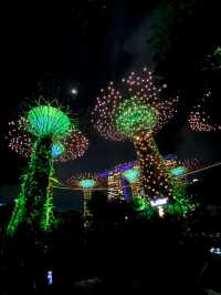 Futuristic Flora and Skyline Spectacle
