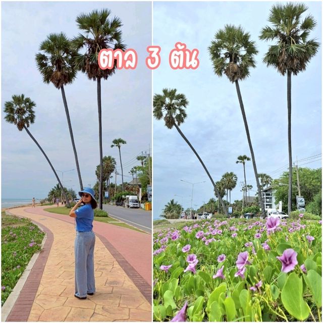 มัดรวมที่เที่ยวปราณบุรี ประจวบฯ