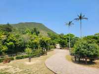 🌿🌊 **香港清水灣郊野公園：自然愛好者的天堂** 🌊🌿