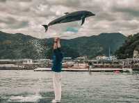 Swim with Dolphins in Kyushu: A One-Day Escape to Youra, Tsukumi
