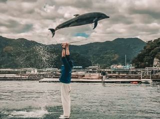 Swim with Dolphins in Kyushu: A One-Day Escape to Youra, Tsukumi