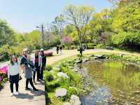 Hike Through The Magic of Hanyangdoseong