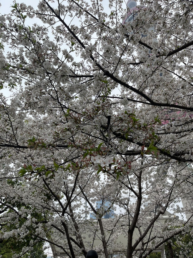 Shanghai Diaries: เมืองแห่งอนาคตที่ยังหอมกลิ่นอดีต