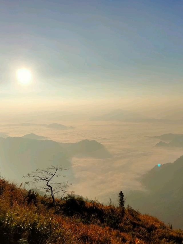 【タイ/プーチーファー】雲海☁️が見れる場所