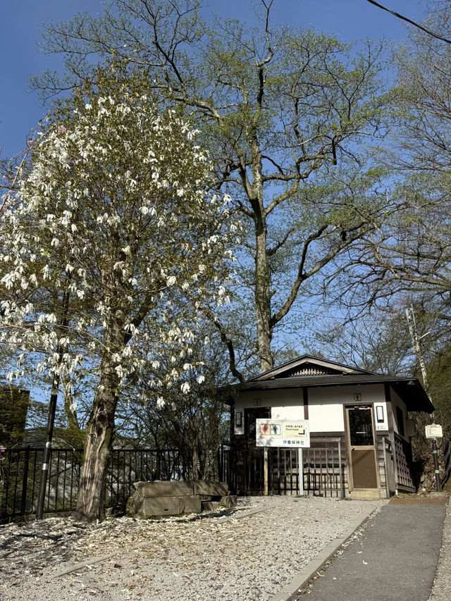  伊香保温泉の守り神「伊香保神社」—石段の頂上で願いを込める旅