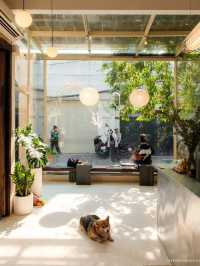 Patio Cafe