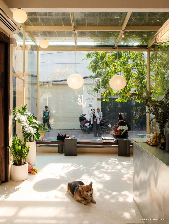 Patio Cafe