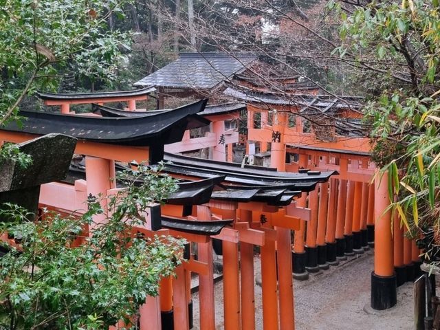 후시미이나리신사 후기 Journey to Fushimi Inari Taisha