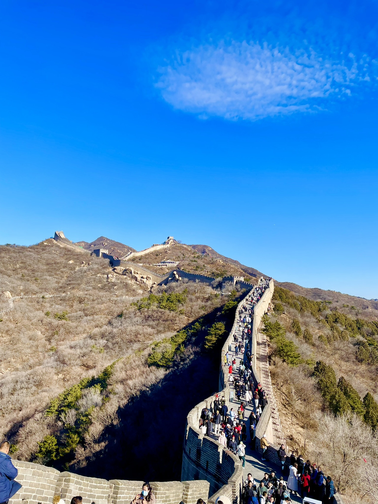 Having always dreamt of witnessing one of the world's most iconic landmarks, my recent trip finally took me to the Great Wall of China – remarkably, the first of the Seven Wonders I've had the privilege to explore. I couldn't have timed my visit better, arriving in the early embrace of winter. The weather was absolutely perfect: bright sunshine illuminating the ancient stones, a gentle breeze whispering through the watchtowers, and a refreshingly cool temperature that made walking along the wall an absolute pleasure. This crisp air and clear visibility truly enhanced the grandeur of the experience.

One of the first dilemmas for anyone planning a trip to the Great Wall is choosing which section to visit, with Badaling and Mutianyu being the most popular options. While Mutianyu is often lauded for its relatively smaller crowds – a significant factor, as throngs of tourists can indeed detract from the experience – I ultimately opted for Badaling. My primary reason was accessibility. Badaling's closer proximity to Beijing city centre makes it a significantly easier journey, especially for a day trip. What truly sealed the deal was discovering the convenient high-speed train from Beijing North Railway Station directly to Badaling Great Wall Station, a surprisingly affordable option at around 30 yuan. Booking these train tickets in advance is highly recommended, as they can sell out quickly. For those who miss the train, there are also direct buses to and from the Bird's Nest Stadium for approximately 50 yuan.

While it's true that Badaling is a popular choice and can get crowded, particularly near the main entrance points, I discovered a simple yet effective way to mitigate this. My advice is to dedicate more time to exploring the section and venture further along the wall. As you walk beyond the initial heavily populated areas, the crowds gradually begin to thin out, allowing for a more serene and immersive experience. You'll be rewarded with stunning vistas and a greater sense of the wall's immense scale and historical significance. As a delightful bonus, I even encountered a few friendly feline residents along the wall, happy to accept any offered tidbits – a charming and unexpected encounter on this ancient wonder.

#china #beijing #greatwall #greatwallofchina  