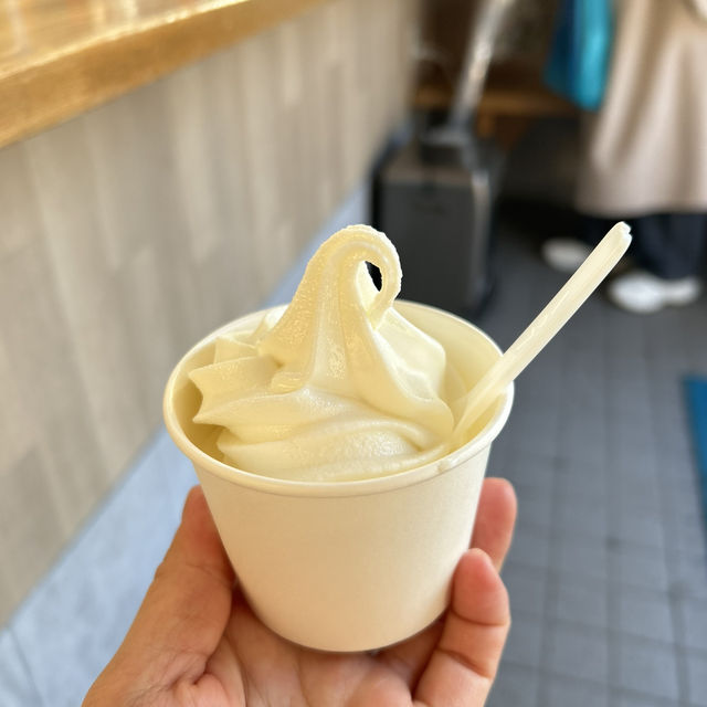 小樽旅行✈️小樽おすすめカフェ3選とオルゴール✨