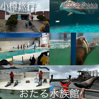 小樽之旅✈️小樽水族館🦭🐧🐬