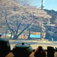Hwagae Cherry Blossom Road