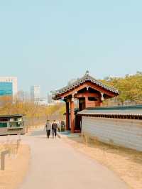 덕수궁 나들이~