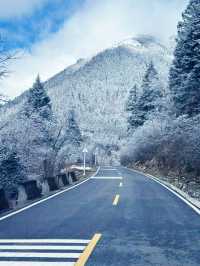 Dagu Glacier:  alpine paradise