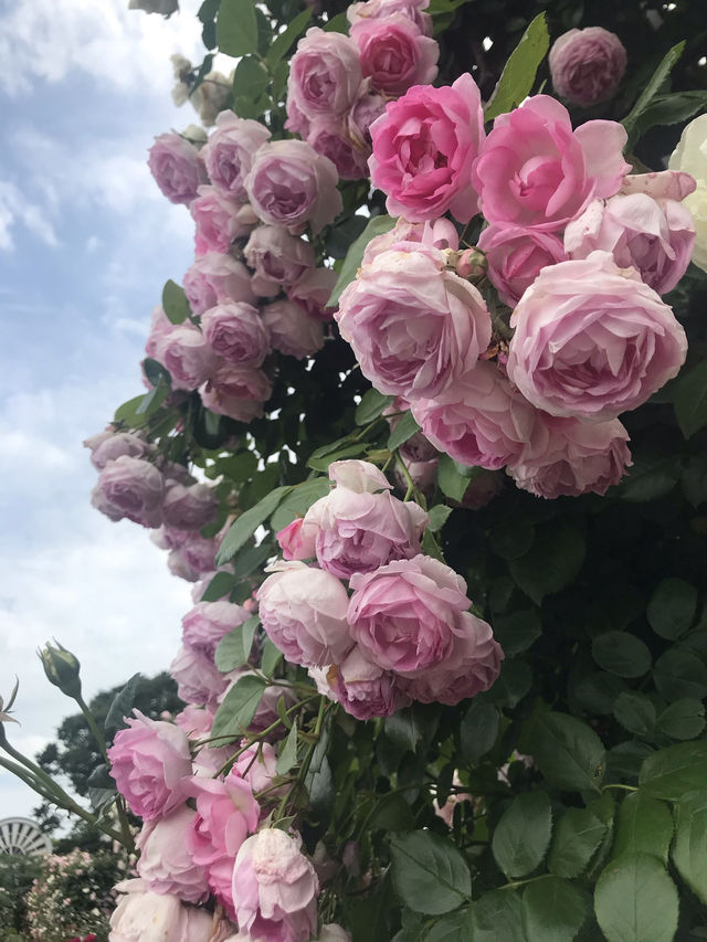 【横浜元町から山手の港の見える丘公園を歩きイギリス館へ】