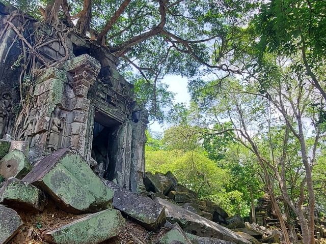 ラピュタの世界が現実に！ベンメリアで体感する神秘の遺跡旅