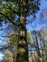 Visit Winnie the Pooh Park, Hartfield 🏴󠁧󠁢󠁥󠁮󠁧󠁿