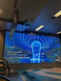 Lion City Love: Singapore Stole My Heart!