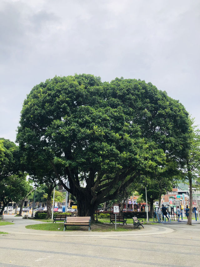 一個舒適的休憩公園🥳