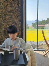 노란 유채꽃 사이로 햇살이 스며드는 감성 카페🌼