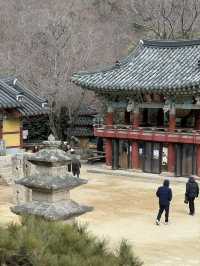 釜山梵魚寺｜繁華都市中的幽靜💫