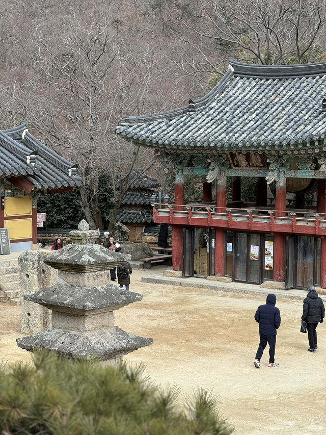 釜山梵魚寺｜繁華都市中的幽靜💫