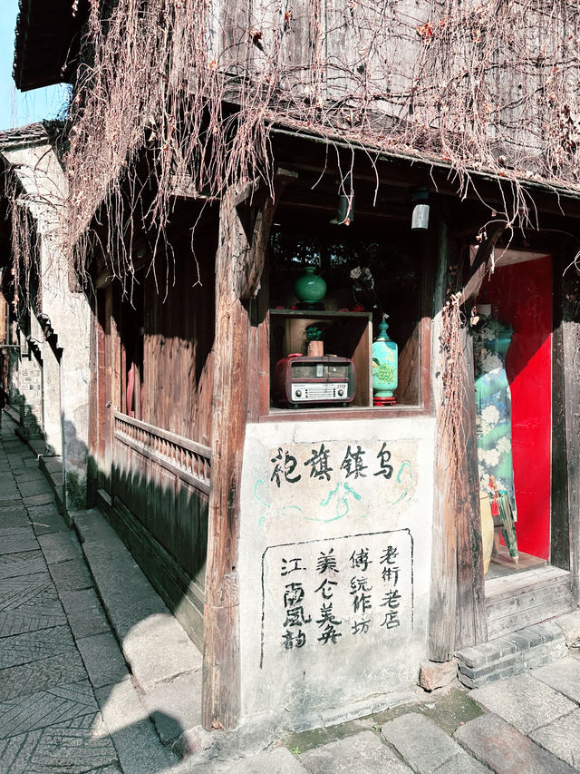 A Spring Escape to Wuzhen: A Journey Through Tranquil Beauty 🌸🚶‍♂️