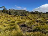 Discover the scenic view & wombats sightings at Cradle Mountain Ronny Creek walk