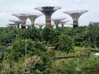 #濱海灣花園Gardens By The Bay-新加坡