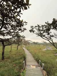 ป่าหินงาม อุทยานแห่งชาติ อากาศดีๆเที่ยวได้ทั้งปี