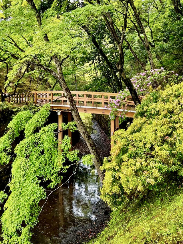 Rainy Spring Serenity at Shugakuin Imperial Villa