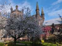 Chester Uk so many things to see