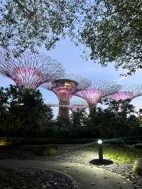 How to spend a day in Singapore 🩷