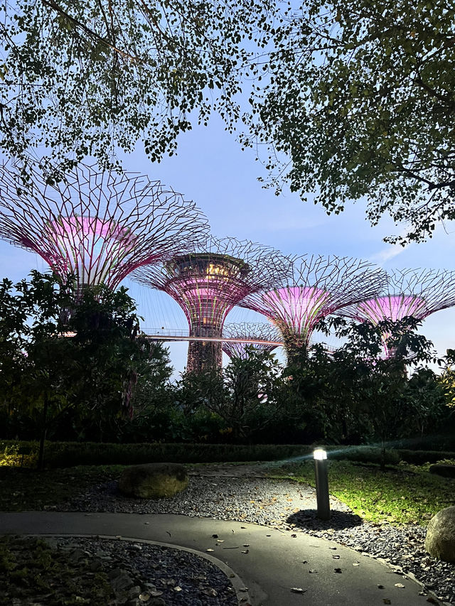 How to spend a day in Singapore 🩷