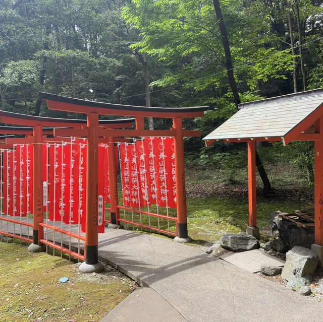 Hidden Torii: Nagayama Inari Shrine