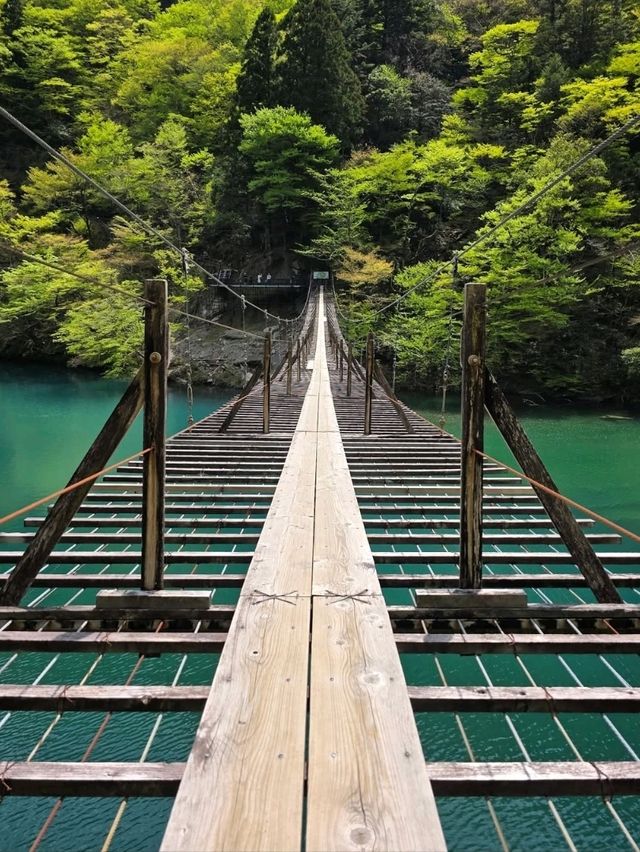 The Dream Bridge That’s Kinda Scary (But Worth It)