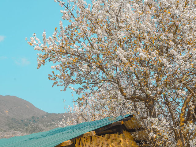 Sơn La
