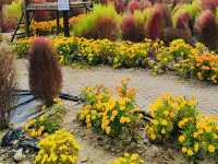 Find Peace at Daejeon Healing Forest: A Simple Getaway