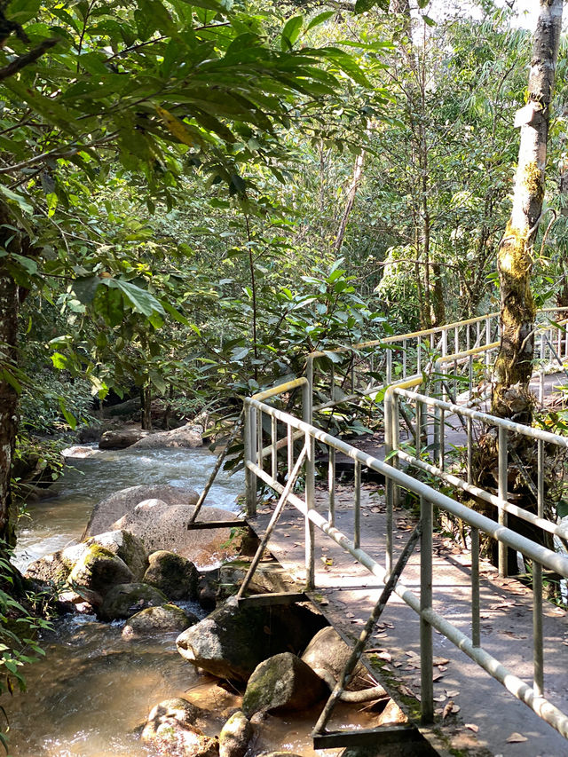 One-Day Itinerary: Nature & Food Trail