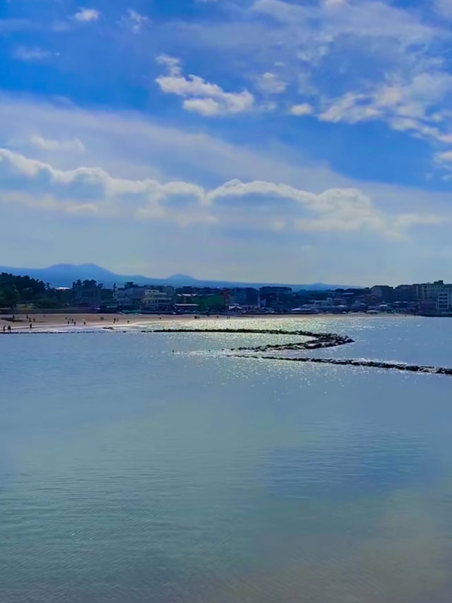 🏖️ 이호테우 해수욕장, 제주의 청량한 바다!