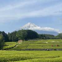 【静岡】富士山と茶畑が見れる絶景スポット🗻