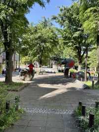 A Chill Weekend in Myogadani, Bunkyo City, Tokyo