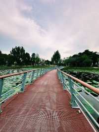 Lotus Dreams & Windy Chimes – A Hidden Gem in Cyberjaya!