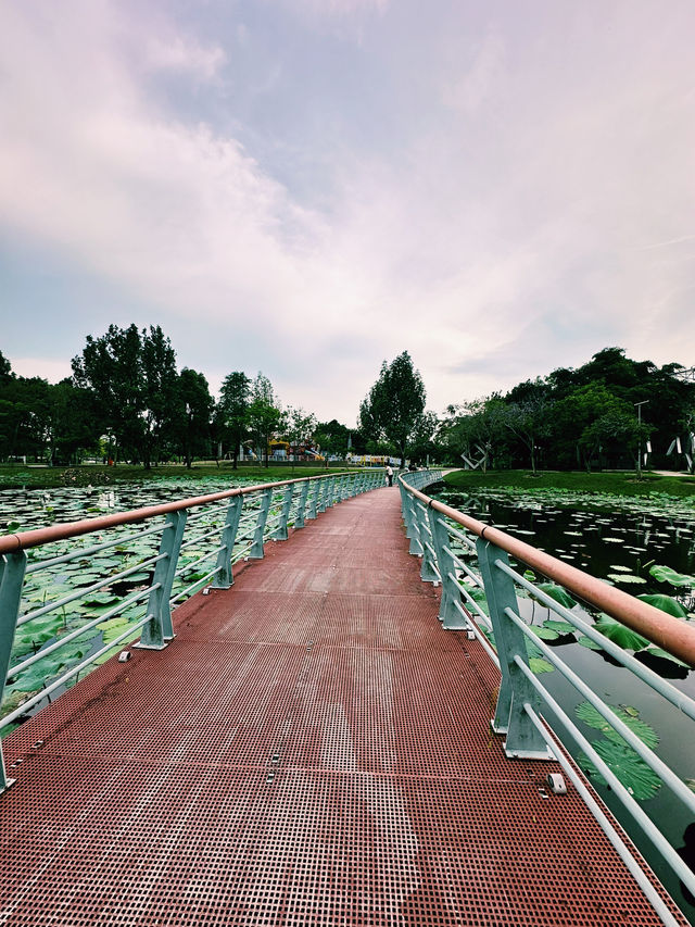 Lotus Dreams & Windy Chimes – A Hidden Gem in Cyberjaya!