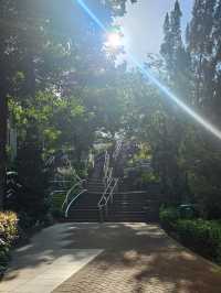 具備中國風、古色古香嘅荔枝角公園