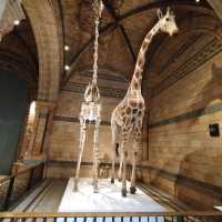 Exploring London and Oxford: A Journey Through History and Culture