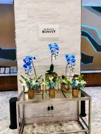 Experience Elevated Comfort at Le Méridien Putrajaya