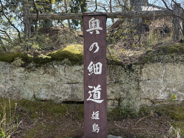 【宮城】の魅力大公開！1泊2日グルメに景色に堪能レポ
