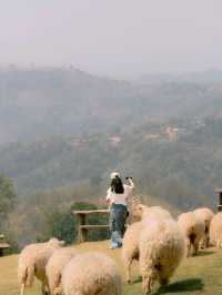 Hidden Gem in Chiang Rai